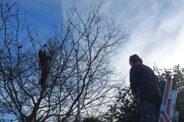 Cb2cd7ef f8b7 44ab 9ada 5acb56d63ac3