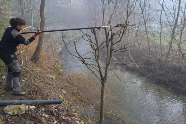 49704faa 1100 4984 89d2 2db37d33ff64